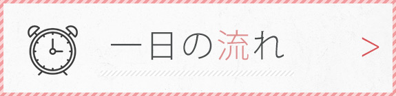 一日の流れ